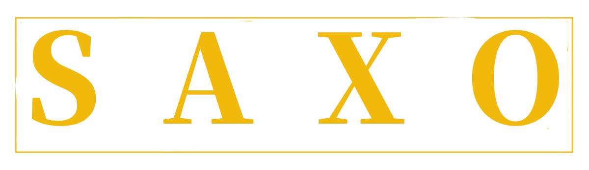 Saxo International  Investment Advisors Ltd focus on Investment & Corporate Finance