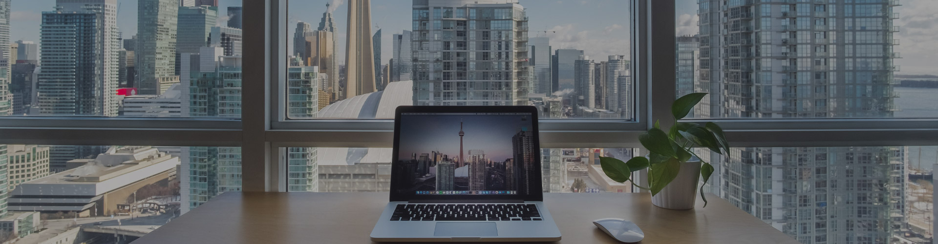 feature-image-sample